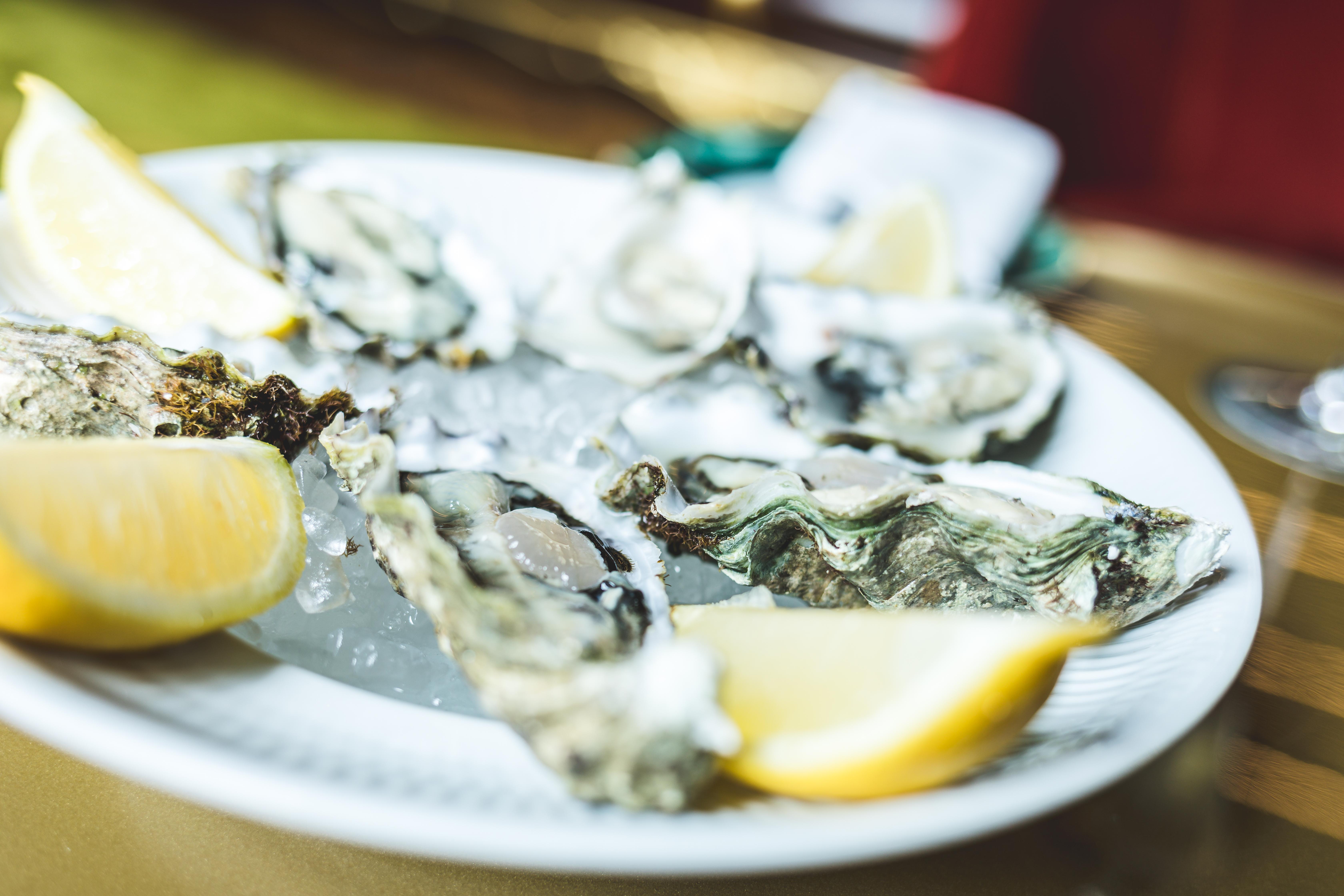 วีลา ฟอซ โฮเต็ล แอนด์ สปา Hotel ปอร์โต ภายนอก รูปภาพ Oysters on ice with lemon